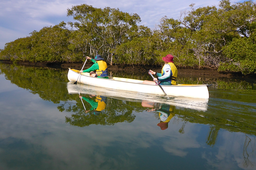 Photograph by Steven Rowland, provided by Outdoors Queensland