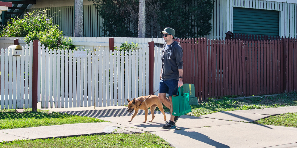 Dog Walking on Footpath