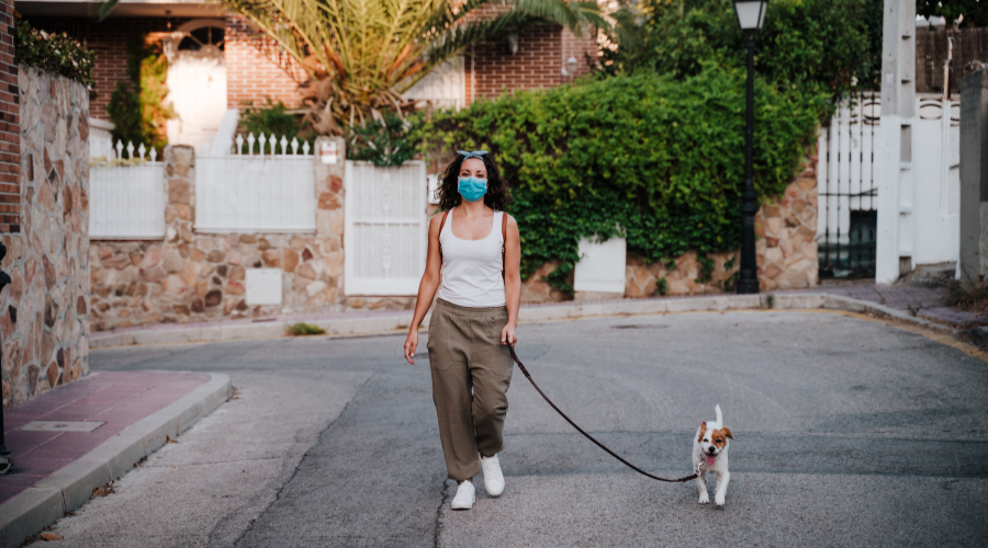 Lady with mask walking dog